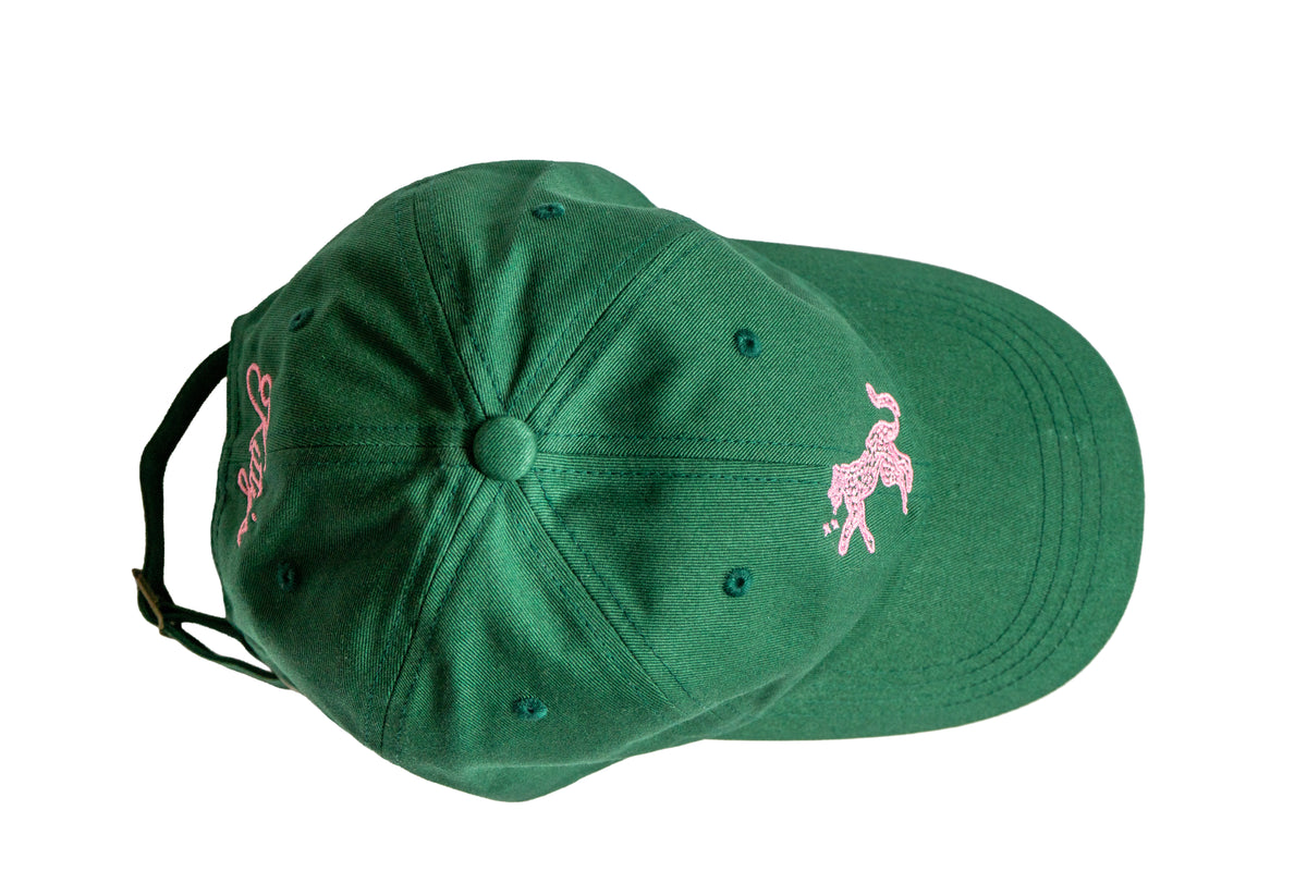 Kitty's Needlepoint Dad Hat (Green / Pink)