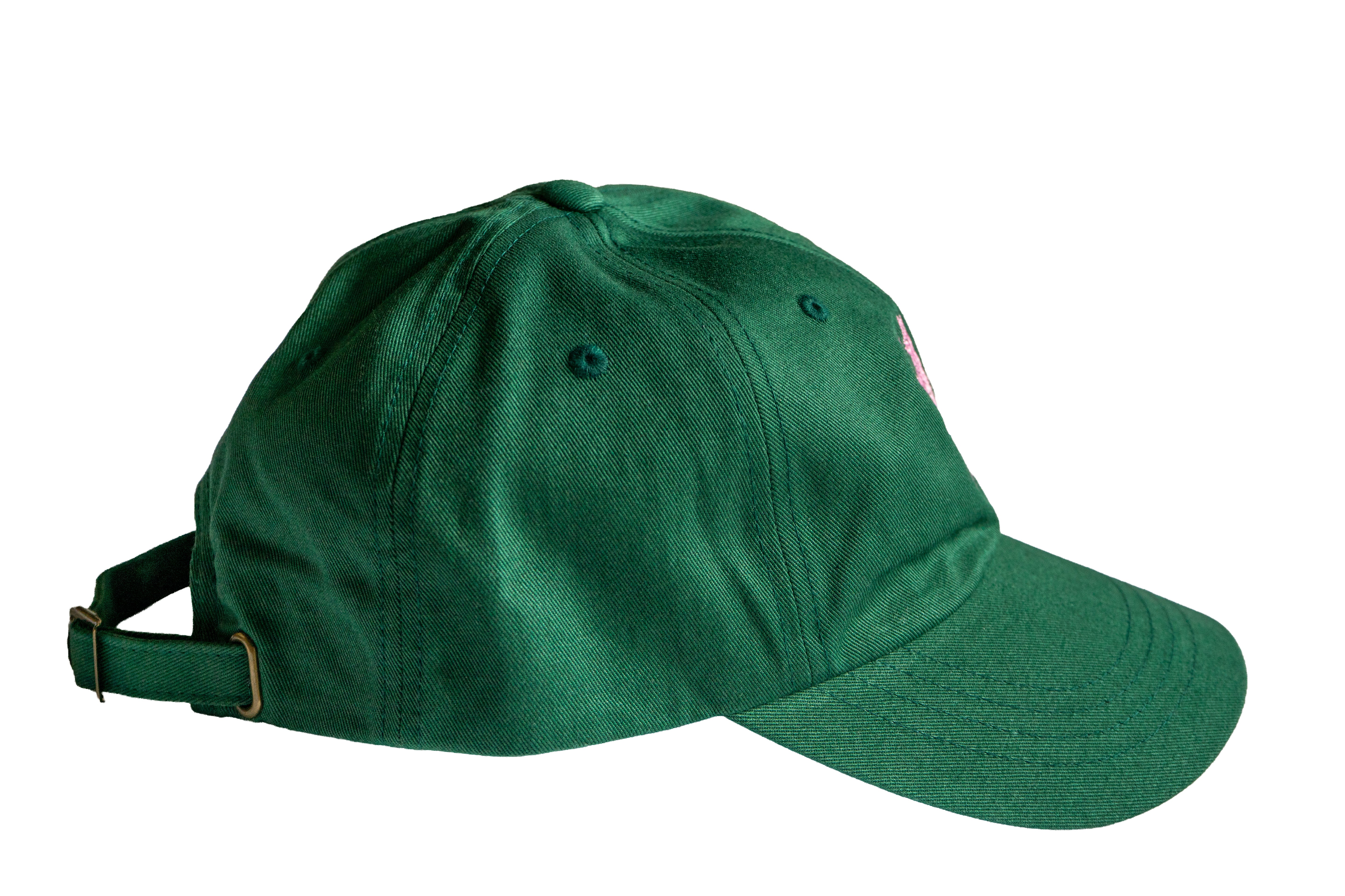 Kitty's Needlepoint Dad Hat (Green / Pink)