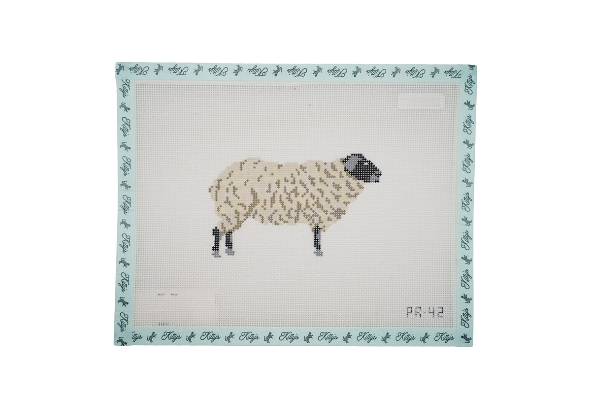Suffolk Sheep